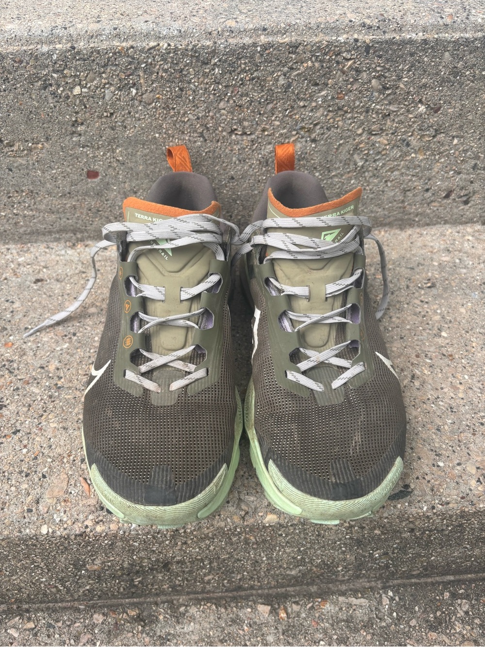 Nike Terra Kiger 9